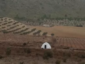 Finca y coto de caza con casona solariega