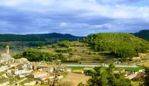 VENDO GRANJA POLLOS