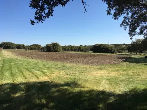VENTA FINCA RUSTICA SEGOVIA
