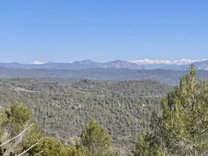 ¡Preciosa finca en la Carbonera!