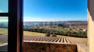 Exclusiva finca con chalet en venta en Huesca