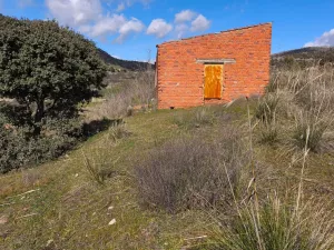 FINCA RÚSTICA pasto/regadío EL BARRACO