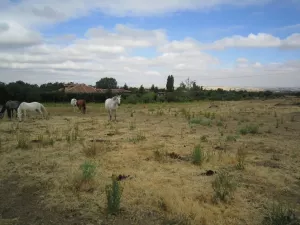 FINCA DE RECREO E HIPICA EN SEGOVIA - 1512