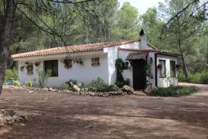 FINCA DE RECREO Y CAZA EN CUENCA - 1517