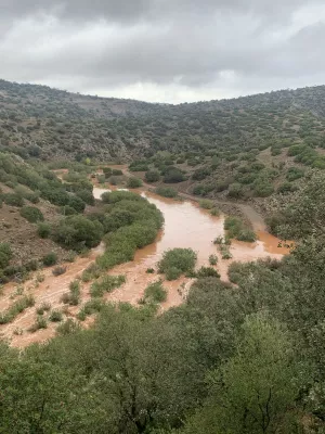 FINCA CINEGETICA EN JAEN - 1474