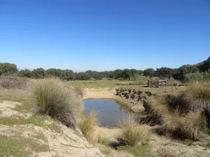 FINCA GANADERA EN TOLEDO