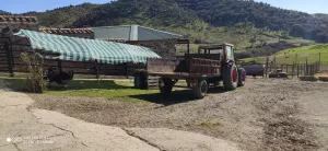 FINCA GANADERA EN JAEN - 1430