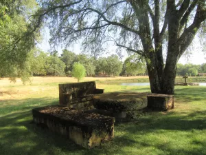 FINCA DE RECREO EN LA VERA