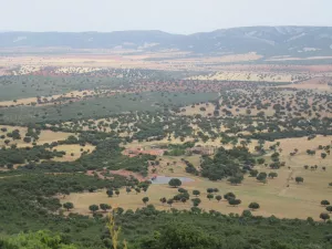 FINCA CINEGETICA EN TOLEDO - 1395