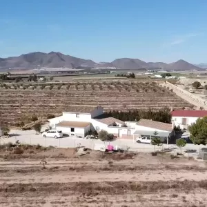 Villa tres casas+ finca pistachos