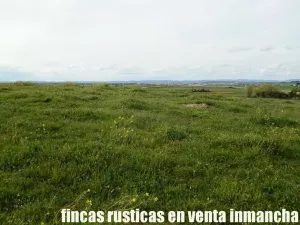 finca en venta 10 has. labor pastos recreo
