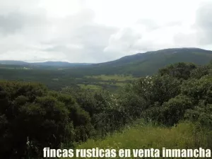 finca en venta 590 has. ganadera caza mayor