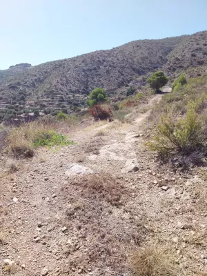 FINCA 50 HA. SIERRA DE LOS FILABRES.