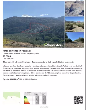 Olivar con 400 olivos en Pegalajar – Buen acc