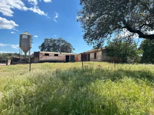 🌿 Finca en la Sierra Norte de Sevilla: 97 He