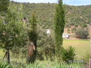 Finca Ganadera y Cinegética en Constantina