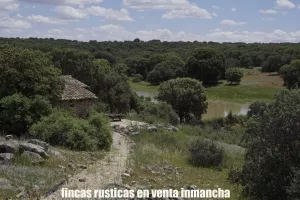 finca en venta 126 has. recreo caza en Cuenca