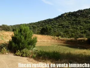 venta 570 has. caza mayor en Ciudad Real