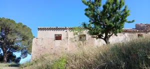Almendro ecológico con 2 cortijos