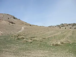 Finca de Aguacates en el Valle del Guadalhorc