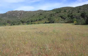 Masia rural cerca del mar en la Costa Brava