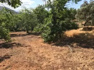 FINCA EN VENTA EN SIERRA DE ARACENA Y PICOS