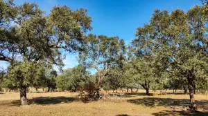 Finca con casa en venta en Sierra de Gredos