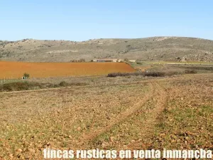 finca en venta 118 has. ciudad real