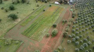 FINCA ECOLÓGICA