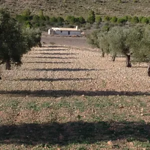 Finca y coto de caza con casona solariega