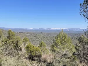 ¡Preciosa finca en la Carbonera!