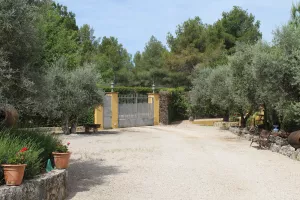 FINCA DE RECREO CERCA DE MADRID - 1500