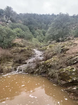 FINCA CINEGETICA EN JAEN - 1474