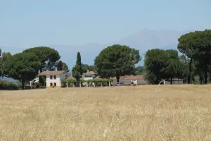 FINCA DE RECREO EN TOLEDO