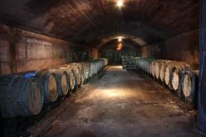Bodega para elaborar cava, vinos en Penedès