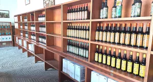 Bodega de vinos y brandy DO Jerez