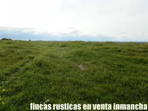 finca en venta 10 has. labor pastos recreo
