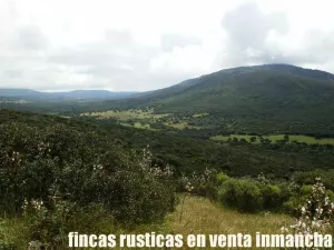 finca en venta 590 has. ganadera caza mayor