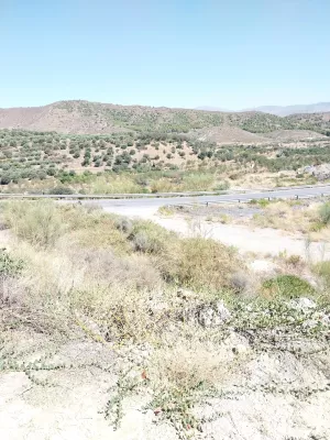 FINCA 50 HA. SIERRA DE LOS FILABRES.