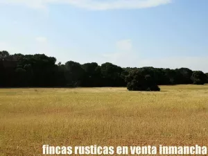 finca en venta 240 has. labor pinar maderable
