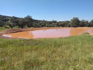 Explotación ganadera y cinegética en Córdoba