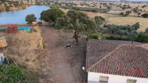 Finca Logrosan