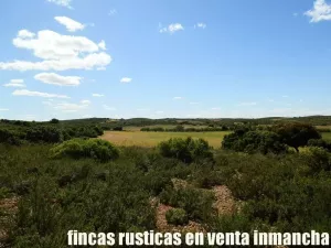 finca en venta 734 has. labor caza Caserío