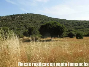venta 570 has. caza mayor en Ciudad Real