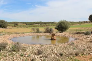Finca caza menor en Albacete Ref. 1526