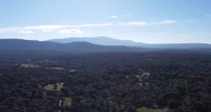 Finca rústica en pleno Valle del Tiétar