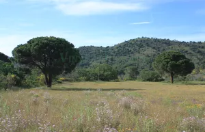 Masia rural cerca del mar en la Costa Brava