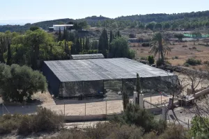 Parcela Rústica con dos chalets y cultivo