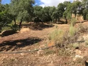 FINCA EN VENTA EN SIERRA DE ARACENA Y PICOS