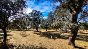 Finca con casa en venta en Sierra de Gredos